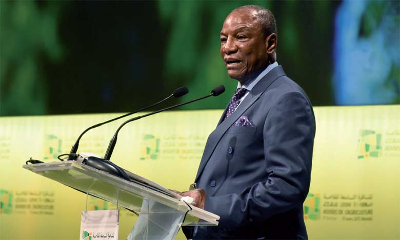 Article : D&eacute;rive dictatoriale en Guin&eacute;e : Alpha Cond&eacute; est aid&eacute; par l&rsquo;hypocrisie de l&rsquo;&eacute;lite dite intellectuelle