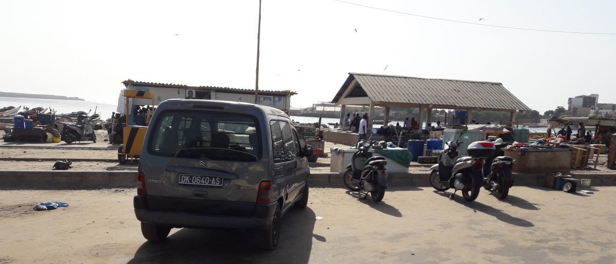 Article : Dakar : Du désespoir à l&rsquo;exil , un  cercle vicieux pour jeunes guinéens